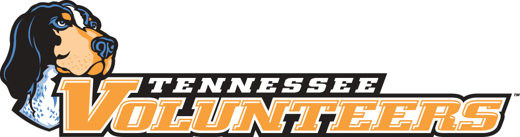 Tennessee Volunteers 2005-Pres Wordmark Logo v4 iron on transfers for T-shirts